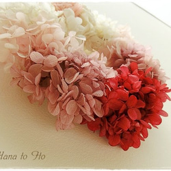 [リース] プリンセスの花冠 -rouge rubis- 3枚目の画像