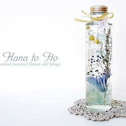 [ハーバリウム] healing bottle -blue- 1枚目の画像