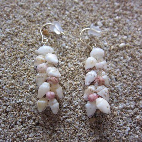 島のたからもの❤︎カヘレラニシェルのピアス 島のたからもの❤︎カヘレラニシェルのピアス