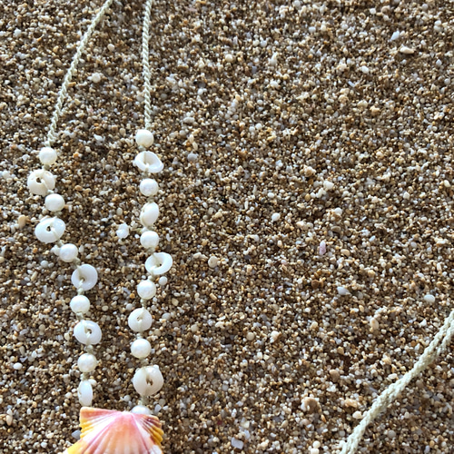 ハワイ購入【希少】サンライズシェル付プカシェル ネックレス ハワイ購入【希少】サンライズシェル付プカシェル ネックレス