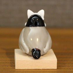 貓耳朵爪哇麻雀雕像玻璃 第3張的照片