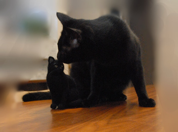 オーダー 愛猫 黒猫 羊毛フェルト 2枚目の画像