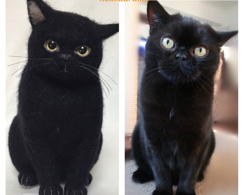 羊毛フェルト　アメショー　アメリカンショートヘア　猫　オーダー　うちの子 羊毛フェルト 猫 アメリカンショートヘア ねこ ネコ アメショ 猫