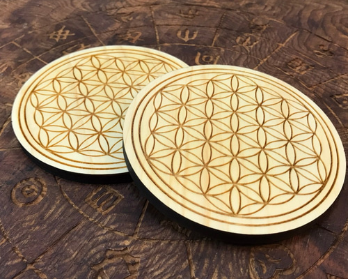 セリストン研究所　パワープレート　大31枚 0_8f737ce7d726b46e7e29f61fe43e