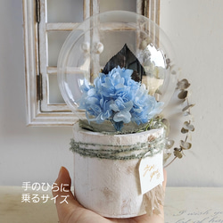 【しゃくさまオーダー品】しゃぼんバルーンの紫陽花ポット*ベビーブルー《名入れ出来ます♡アレンジ 風船》 3枚目の画像