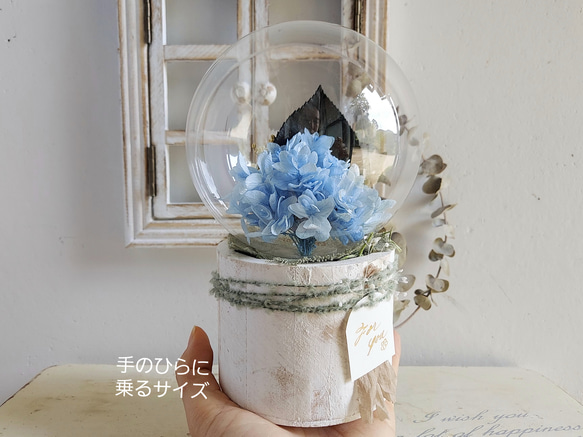 【しゃくさまオーダー品】しゃぼんバルーンの紫陽花ポット*ベビーブルー《名入れ出来ます♡アレンジ 風船》 3枚目の画像