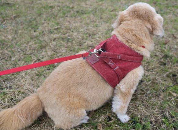 犬用　赤デニムベストハーネス　ショートタイプ　Lサイズ 2枚目の画像