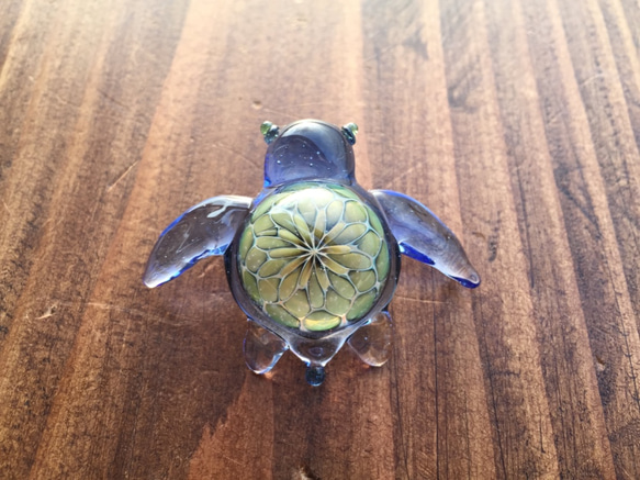 [藍海龜]〜Soragame〜 第5張的照片