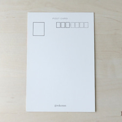 ポストカードお好きな４枚セット 【No.02】『まぶしい朝』（レッサーパンダ） 3枚目の画像