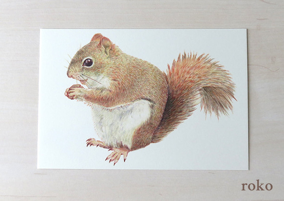 【misen2014 さま】ornament ❀ 木の実を持った リスさん a misen2014 さま】ornament ❀ 木の実を持った リスさん a