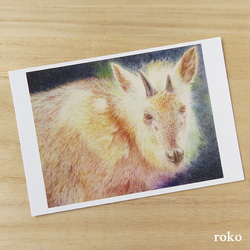 ポストカードお好きな４枚セット  【No.22】『移りゆく季節』（ニホンカモシカ） 1枚目の画像