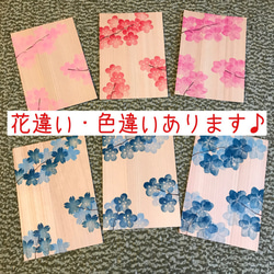 檜(ヒノキ)の桜の花カード・青★送料無料 4枚目の画像