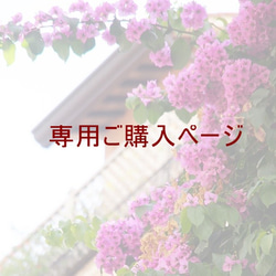 でかまるこ様専用ページ（蝶バネタイプ）＜他のお客様のご購入はご遠慮ください＞ 1枚目の画像