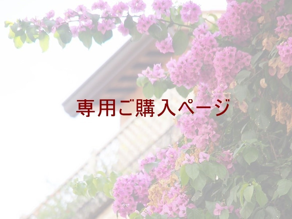 A様専用ページ＜他のお客様のご購入はご遠慮ください＞ 1枚目の画像