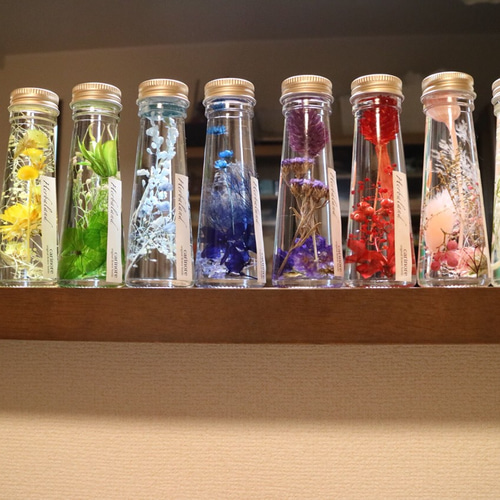 展✦可愛い✦春爛漫・ミニハーバリウム3本セット