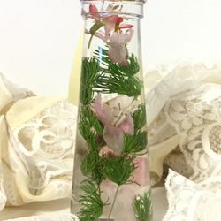 再販 桜のアートリウム ミニ 4枚目の画像