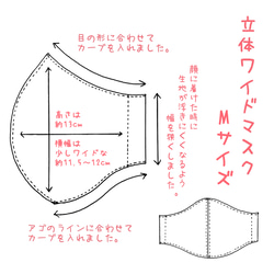 大人用立体ワイドマスク＊Mサイズ（苺×ギンガムチェック①） 4枚目の画像