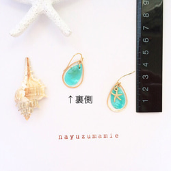 ∵Shell&Starfish∴フックピアス【421】 4枚目の画像