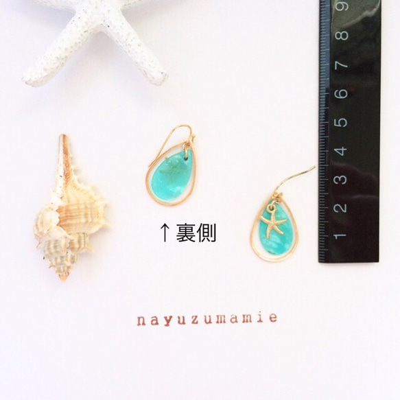 ∵Shell&Starfish∴フックピアス【421】 4枚目の画像