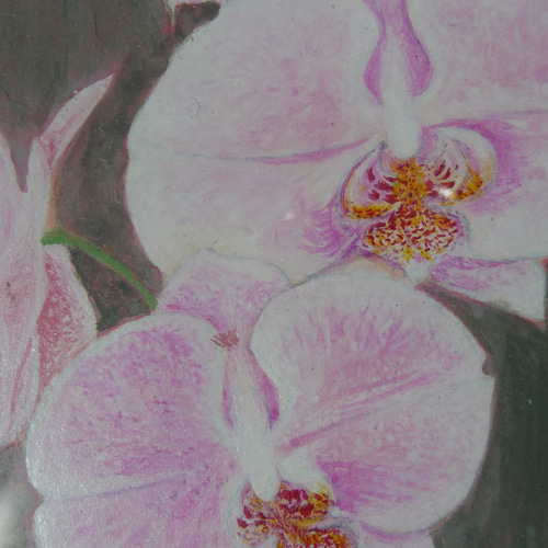 胡蝶蘭☆はがき絵☆岩絵具☆ 絵画 ウィローズメイド 通販 441236