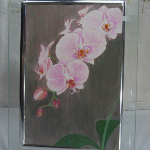 胡蝶蘭☆はがき絵☆岩絵具☆ 絵画 ウィローズメイド 通販 441236