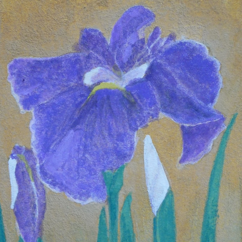 江戸菖蒲☆オリジナル肉筆☆日本画☆岩絵具☆はがき絵 絵画