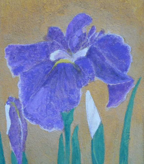 江戸菖蒲☆オリジナル肉筆☆日本画☆岩絵具☆はがき絵 絵画
