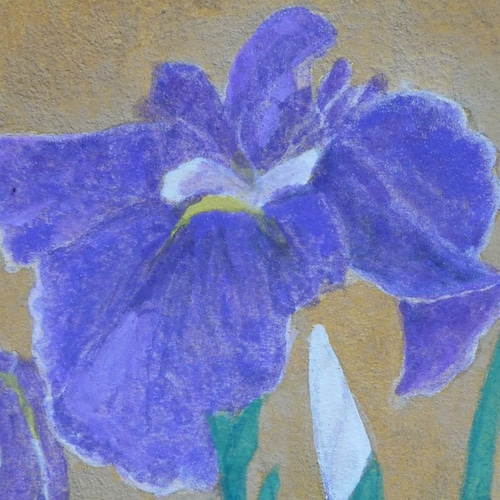 ー品販売  江戸菖蒲☆オリジナル肉筆☆日本画☆岩絵具☆はがき絵 絵画 絵画