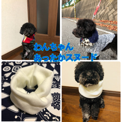 犬マフラー 犬スヌード 1枚目の画像