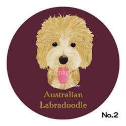 オーストラリアン・ラブラドゥードゥル《5色/犬種名ステッカー》 2枚目の画像
