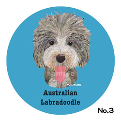 オーストラリアン・ラブラドゥードゥル《5色/犬種名ステッカー》 3枚目の画像