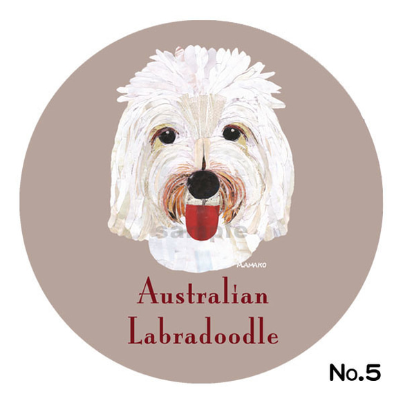 オーストラリアン・ラブラドゥードゥル《5色/犬種名ステッカー》 5枚目の画像