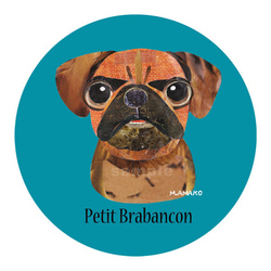 プチ・ブラバンソン《犬種別ステッカー/小型犬》 1枚目の画像