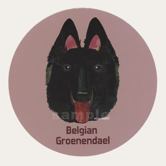 ベルジアン グローネンダール《犬種別ステッカー/大型犬》 1枚目の画像