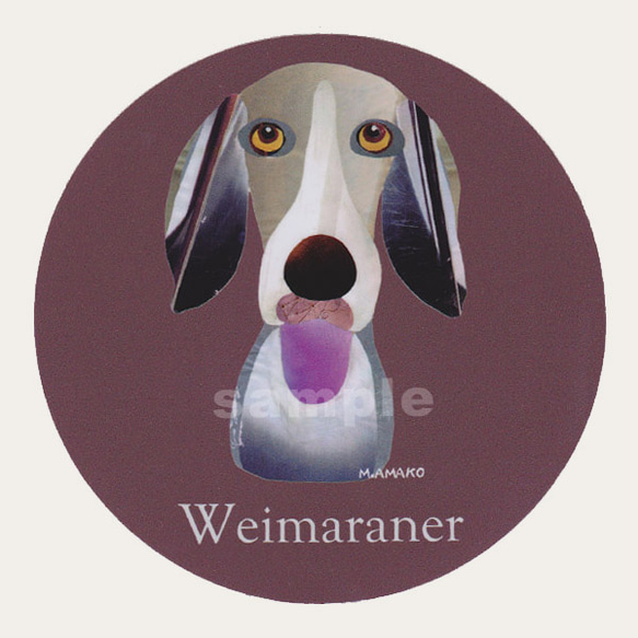 ワイマラナー《犬種別ステッカー/大型犬》 1枚目の画像