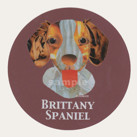 ブリタニー スパニエル《犬種別ステッカー/中型犬》 1枚目の画像