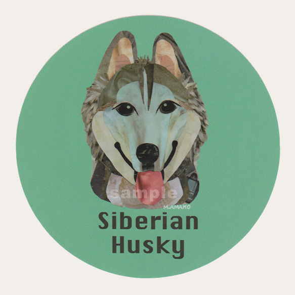 西伯利亞雪橇犬/銀1“狗型貼紙/中型犬” 第1張的照片