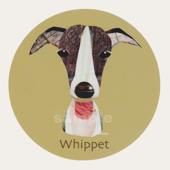 ウィペット《犬種別ステッカー/中型犬》 1枚目の画像