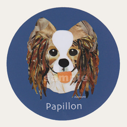 パピヨン《犬種別ステッカー/小型犬》 1枚目の画像