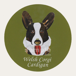 ウェルシュ コーギー カーディガン《犬種別ステッカー/小型犬》 1枚目の画像