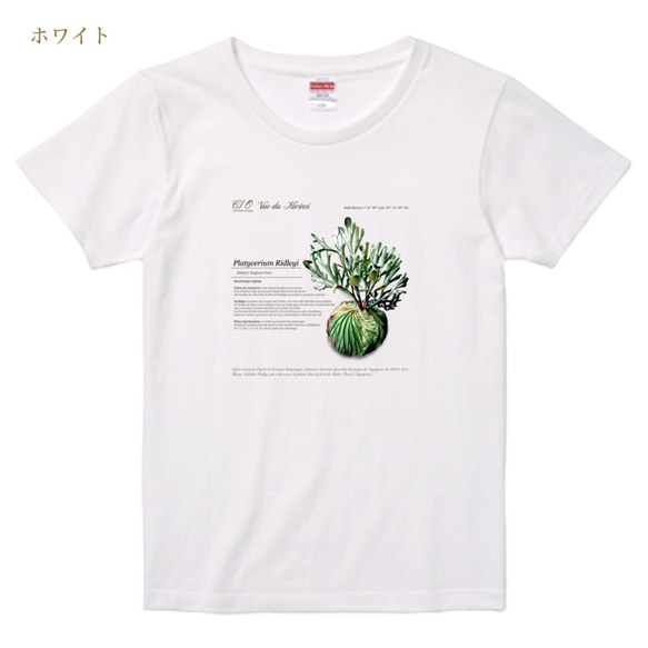 Botanical Life / マルシェ、ガーデニング、ピクニックにぴったりなヨーロッパのガーデナーTee. 4枚目の画像