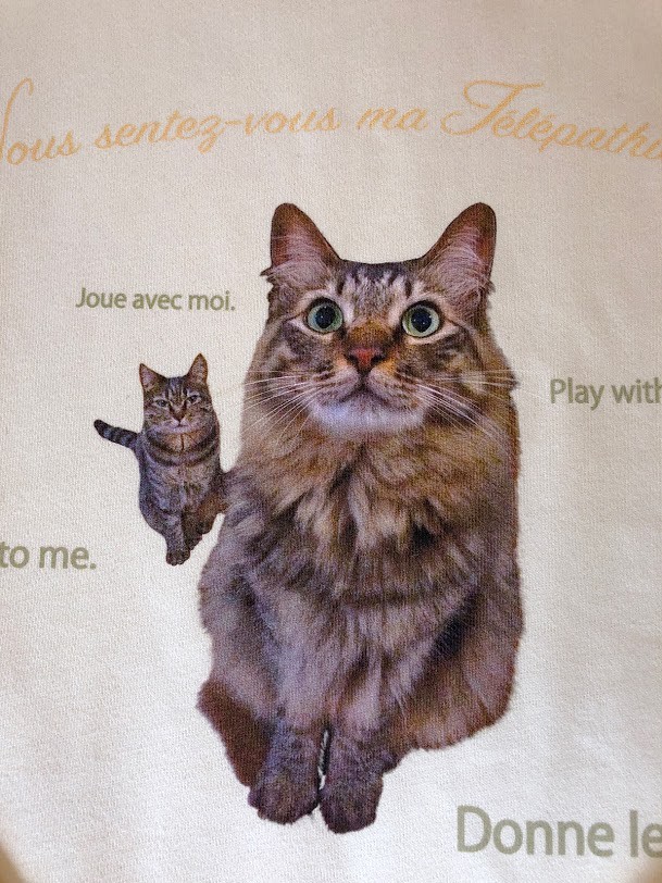 猫とロイヤルミルクティーで映画鑑賞する時のためのスウェット。きじとら猫ニャ