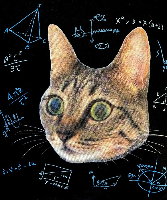 猫の数学。リラックスしていても色々と考えているようにみえるスウェット。 7枚目の画像