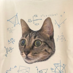 猫の数学。リラックスしていても色々と考えているようにみえるスウェット。 1枚目の画像
