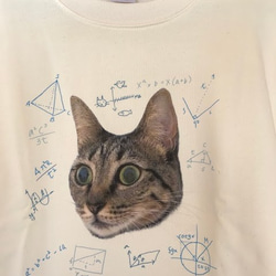 猫の数学。リラックスしていても色々と考えているようにみえるスウェット。 4枚目の画像