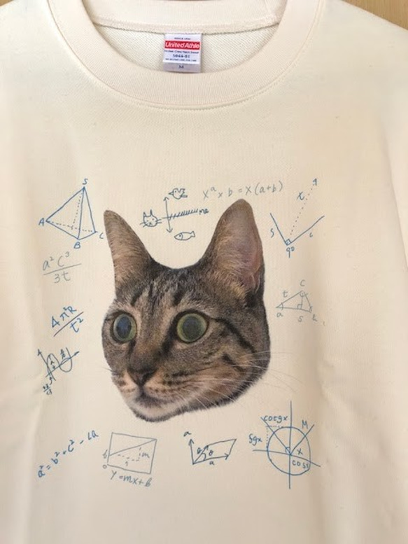 猫の数学。リラックスしていても色々と考えているようにみえるスウェット。 4枚目の画像