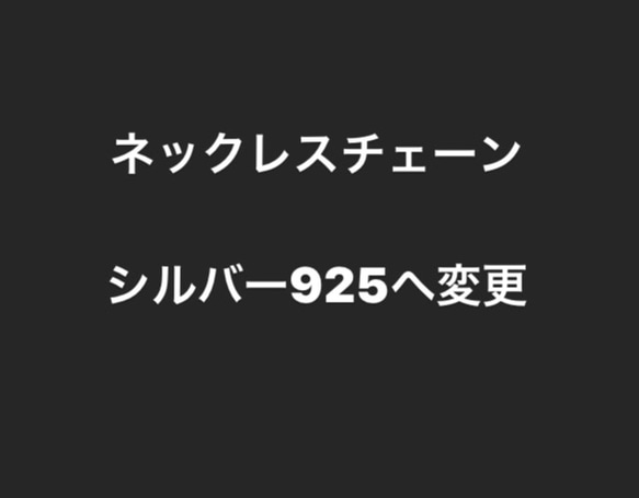 チェーン変更 1枚目の画像