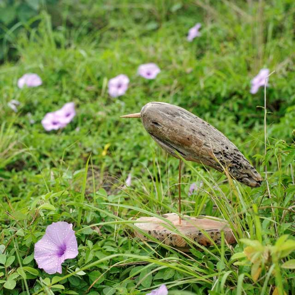 流木の鳥（L saiz）　１４４ 2枚目の画像