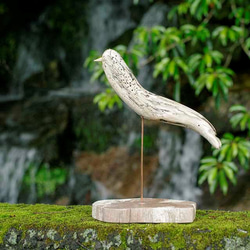 流木の鳥（Msaiz）　１５６ 1枚目の画像
