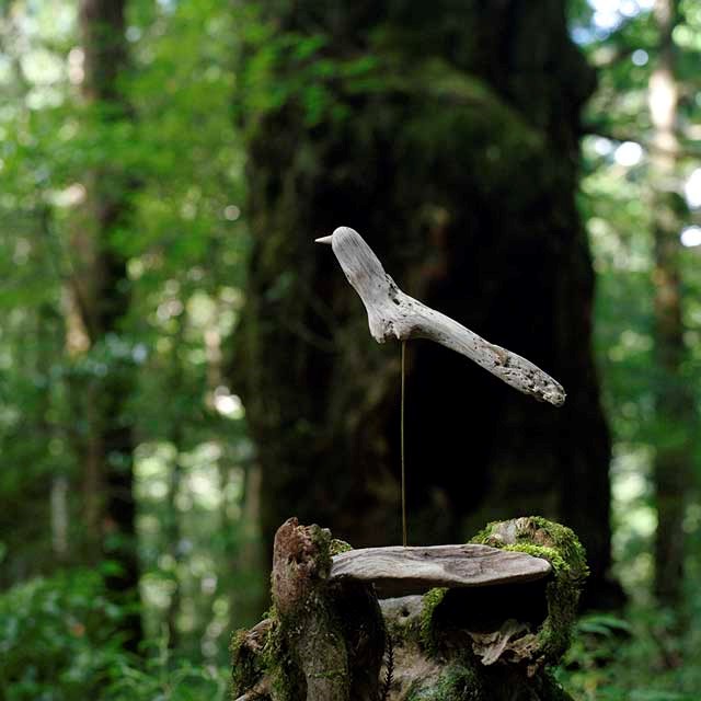 流木の鳥（Ｍ saiz）　２２４